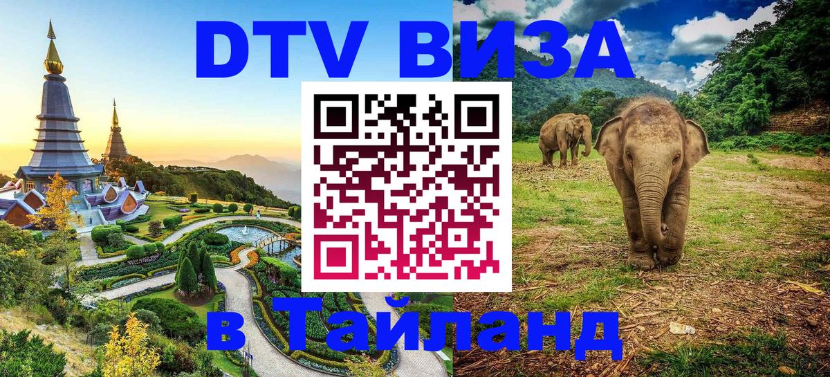 Купить DTV визу в Таиланд 